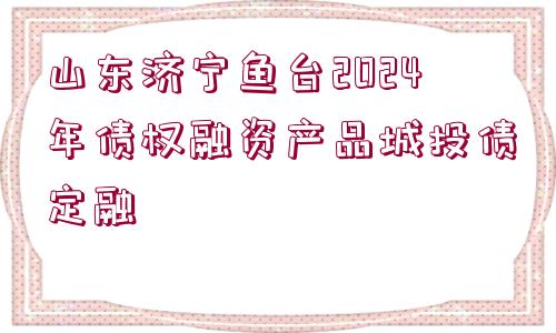 山東濟寧魚臺2024年債權融資產(chǎn)品城投債定融