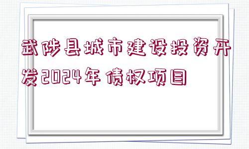 武陟縣城市建設(shè)投資開發(fā)2024年債權(quán)項(xiàng)目