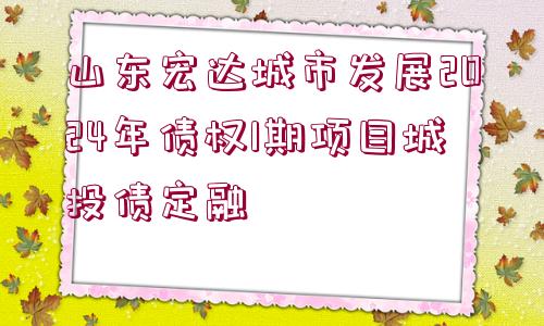 山東宏達城市發(fā)展2024年債權(quán)1期項目城投債定融