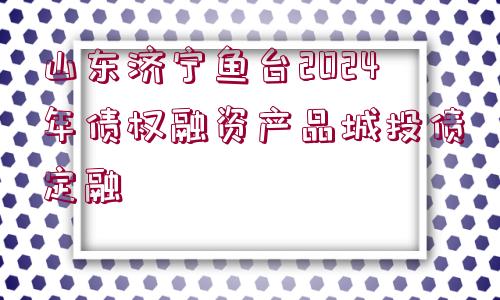 山東濟寧魚臺2024年債權(quán)融資產(chǎn)品城投債定融