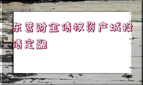 東營財金債權(quán)資產(chǎn)城投債定融