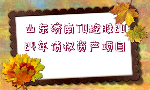 山東濟南TQ控股2024年債權(quán)資產(chǎn)項目