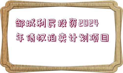 鄒城利民投資2024年債權(quán)拍賣計劃項目