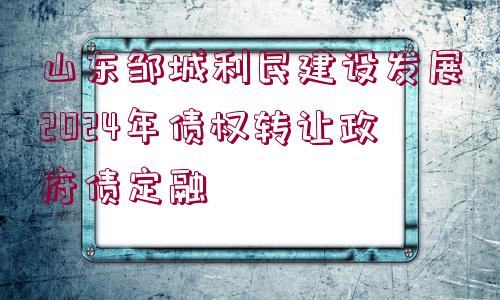 山東鄒城利民建設發(fā)展2024年債權轉(zhuǎn)讓政府債定融