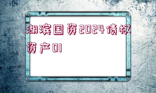 湖濱國資2024債權(quán)資產(chǎn)01