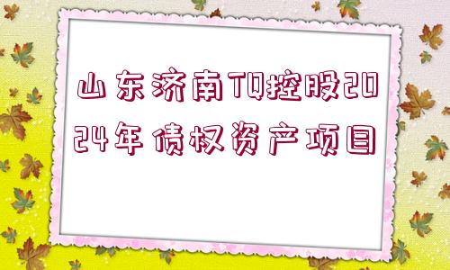 山東濟(jì)南TQ控股2024年債權(quán)資產(chǎn)項(xiàng)目