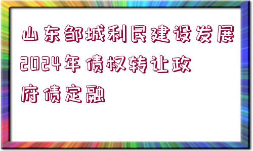 山東鄒城利民建設(shè)發(fā)展2024年債權(quán)轉(zhuǎn)讓政府債定融