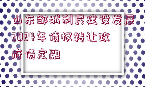 山東鄒城利民建設發(fā)展2024年債權轉(zhuǎn)讓政府債定融