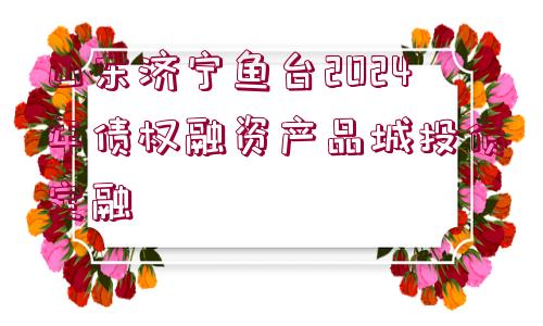 山東濟(jì)寧魚臺(tái)2024年債權(quán)融資產(chǎn)品城投債定融