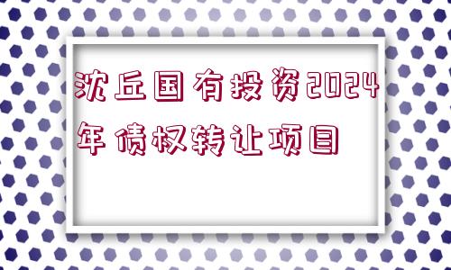 沈丘國有投資2024年債權(quán)轉(zhuǎn)讓項目