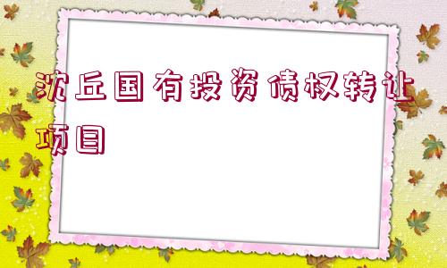 沈丘國(guó)有投資債權(quán)轉(zhuǎn)讓項(xiàng)目