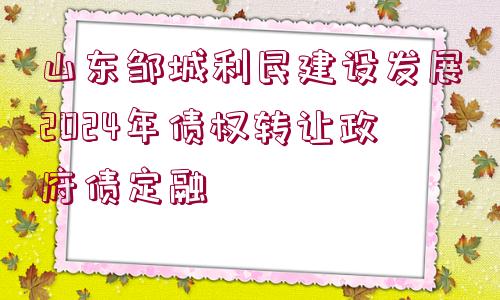 山東鄒城利民建設(shè)發(fā)展2024年債權(quán)轉(zhuǎn)讓政府債定融