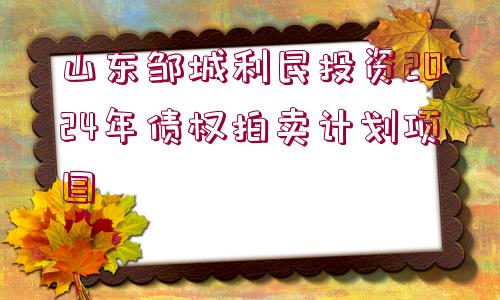 山東鄒城利民投資2024年債權(quán)拍賣計劃項目