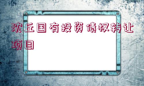 沈丘國(guó)有投資債權(quán)轉(zhuǎn)讓項(xiàng)目