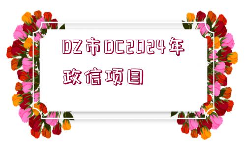 DZ市DC2024年政信項目