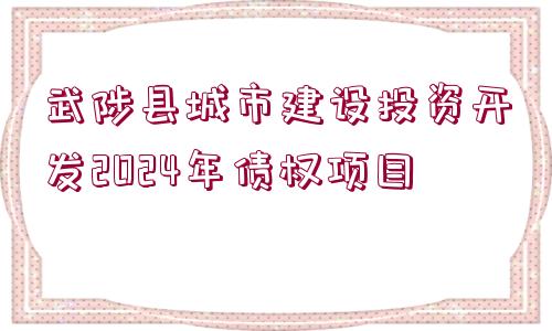 武陟縣城市建設投資開發(fā)2024年債權項目