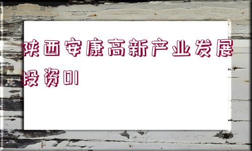 陜西安康高新產(chǎn)業(yè)發(fā)展投資01