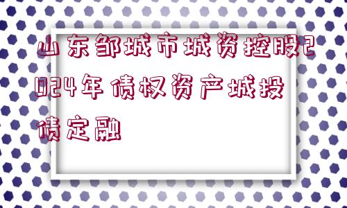 山東鄒城市城資控股2024年債權(quán)資產(chǎn)城投債定融