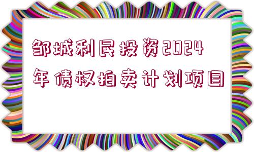 鄒城利民投資2024年債權(quán)拍賣計劃項目