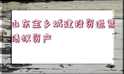 山東金鄉(xiāng)城建投資運(yùn)營債權(quán)資產(chǎn)