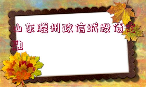 山東滕州政信城投債定融